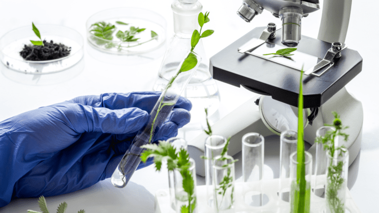 Mão com luva segurando tubo de ensaio com planta em laboratório, representando investimentos do programa Amazônia+10 em pesquisa colaborativa.