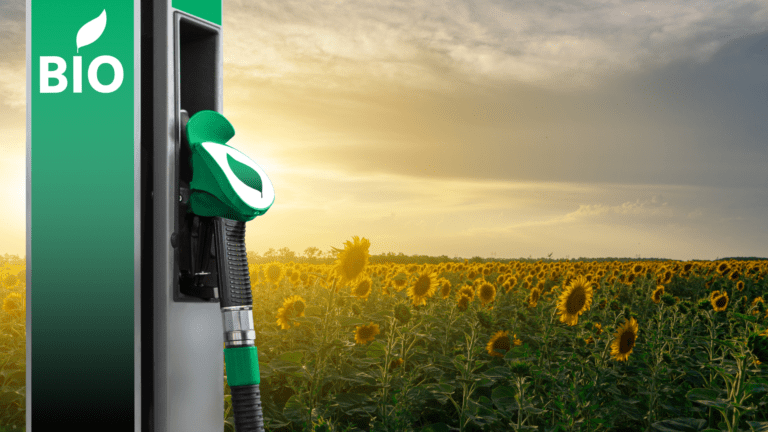 Bomba de combustível verde com selo BIO ao lado de plantação de girassóis, simbolizando investimentos em biocombustíveis sustentáveis.