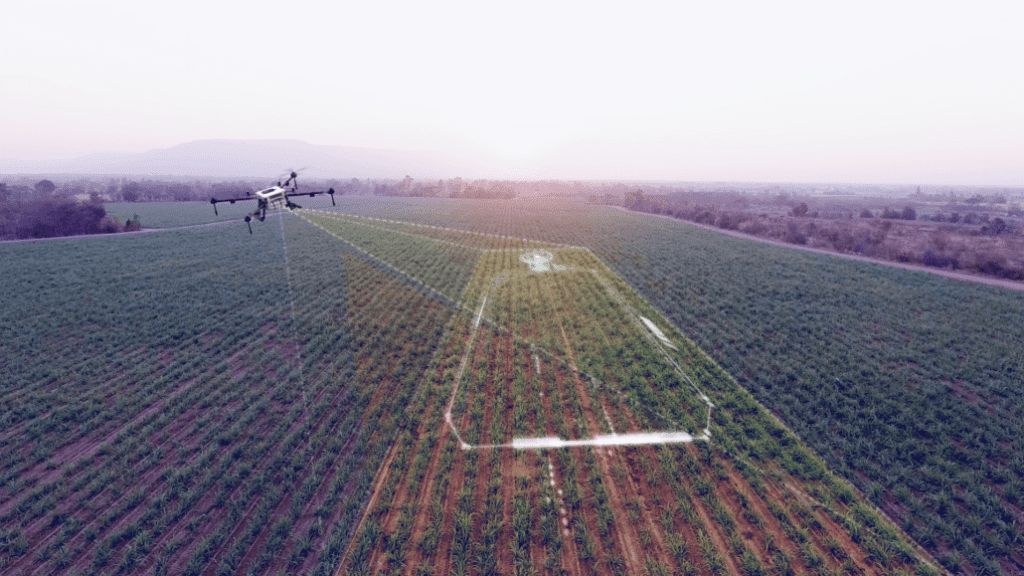 Drone sobre lavoura com sobreposição digital, simbolizando política federal de incentivo à inovação agrodigital no Brasil.