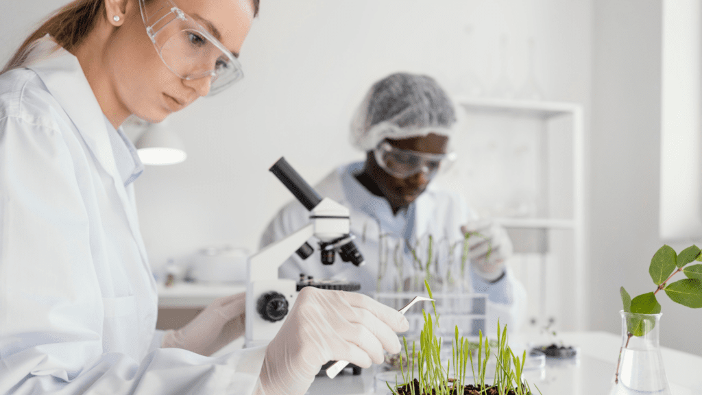 Pesquisadores em laboratório analisando amostras vegetais ao microscópio — FAPESP e NSF anunciam parceria em todas as áreas de pesquisa