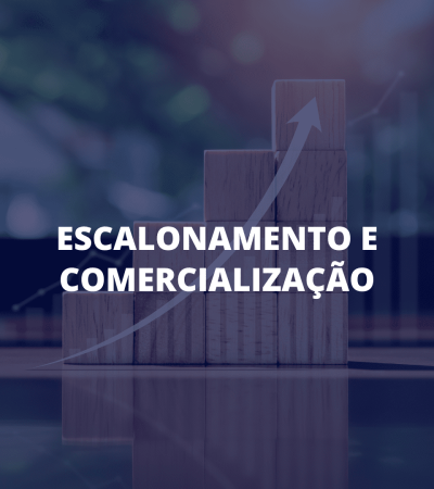 Gráfico de barras com seta ascendente ao fundo e o texto “Escalonamento e Comercialização